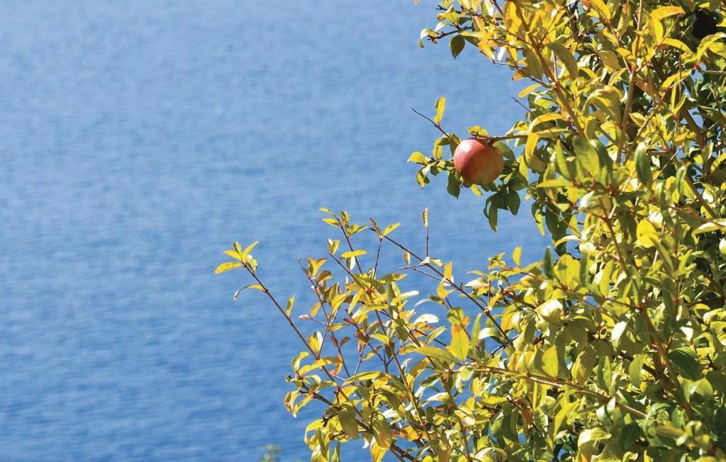 Villa Anci Pisak Exteriér fotografie